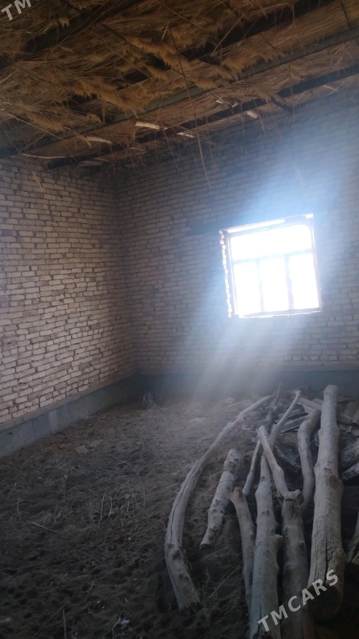 Dashoguz boldumsaz lelin yol - Болдумсаз - img 1