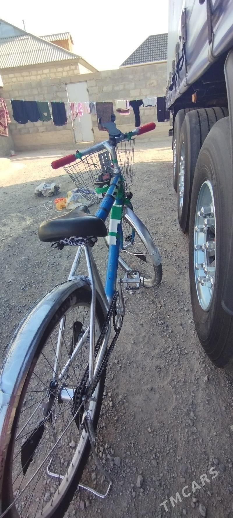 tigir - Gumdag - img 4