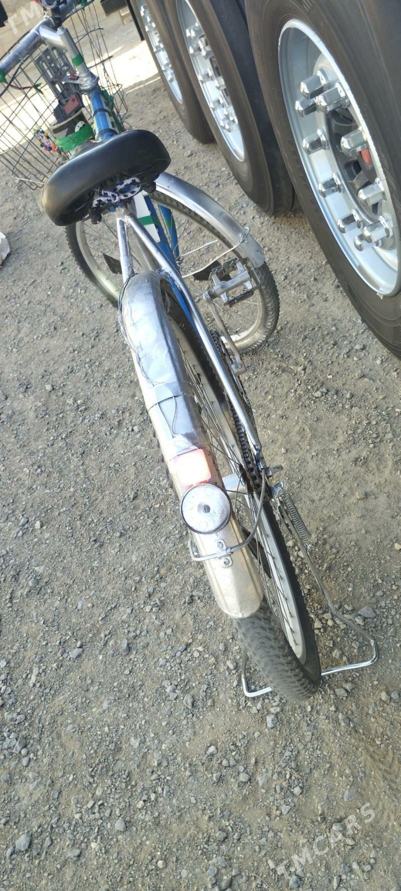 tigir - Gumdag - img 3