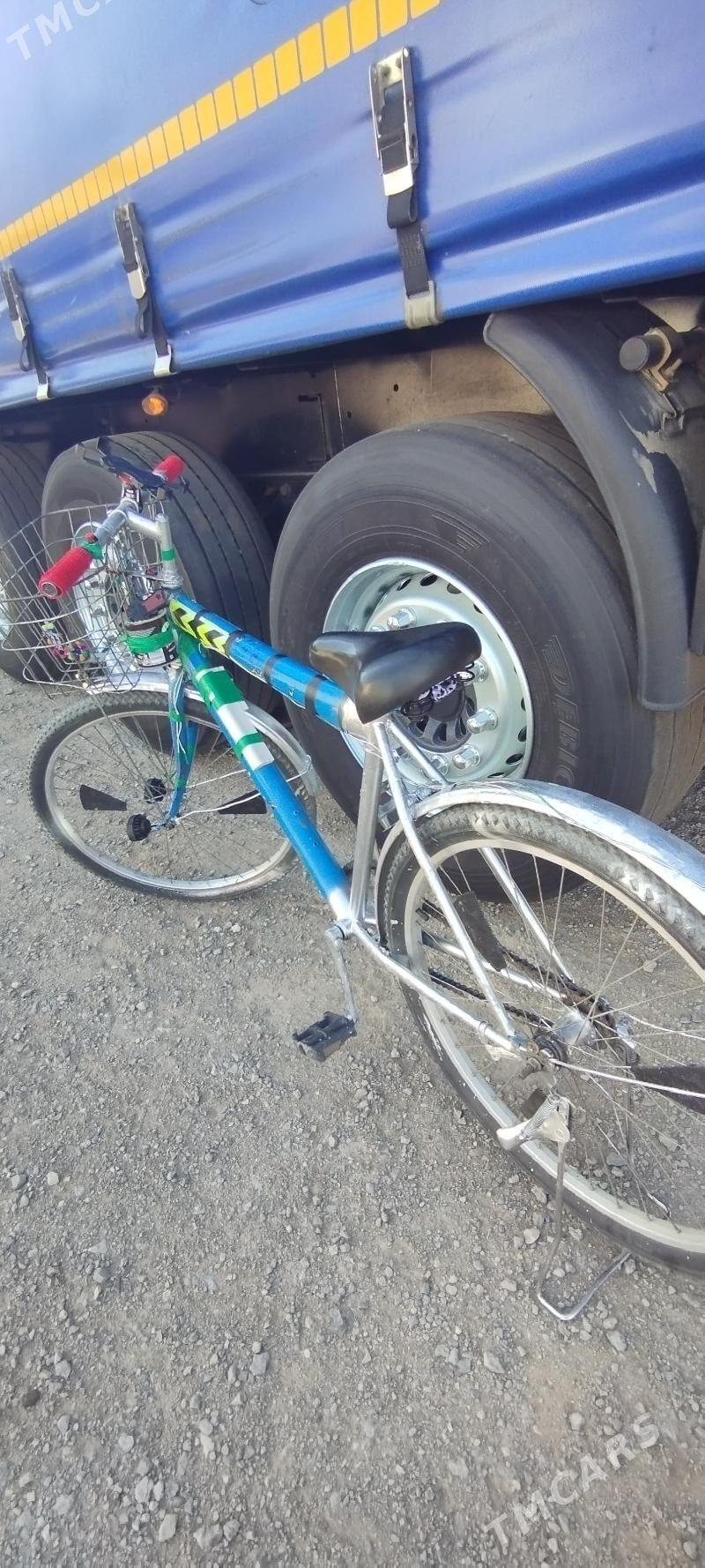 tigir - Gumdag - img 5