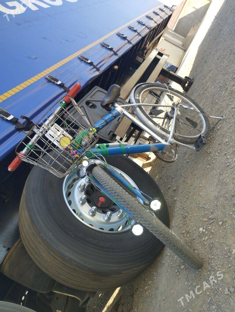 tigir - Gumdag - img 2