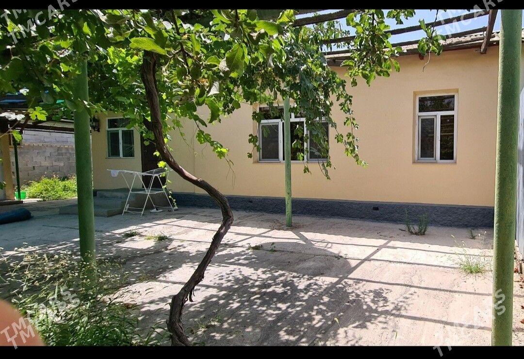 Бекрава - Bekrewe - img 2