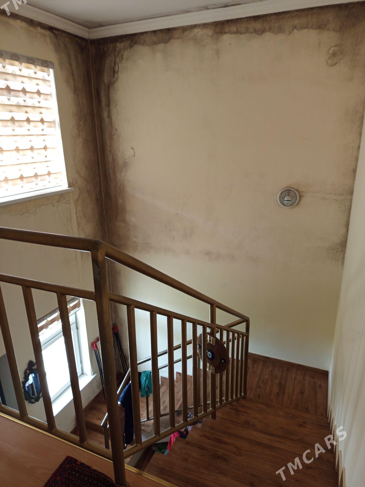 ÇOGANLY KATEZ  GAÝYÑ ÝANY BET - Ашхабад - img 6