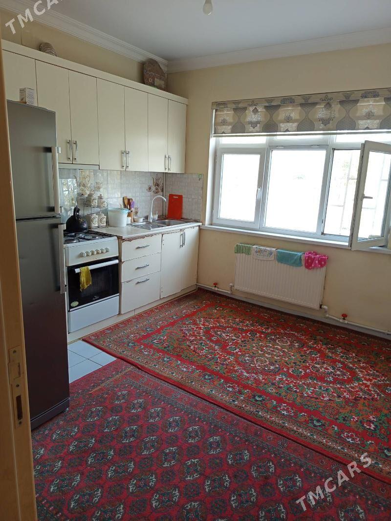 ÇOGANLY KATEZ GAÝYÑ ÝANY BET - Ашхабад - img 1