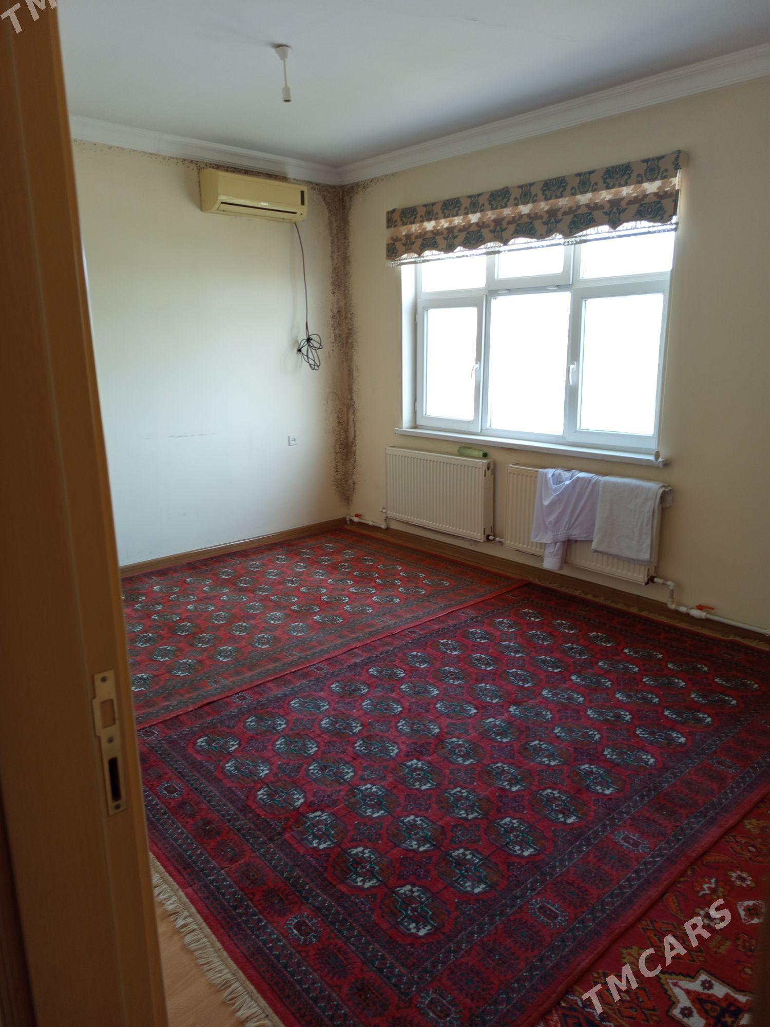 ÇOGANLY KATEZ  GAÝYÑ ÝANY BET - Ашхабад - img 5