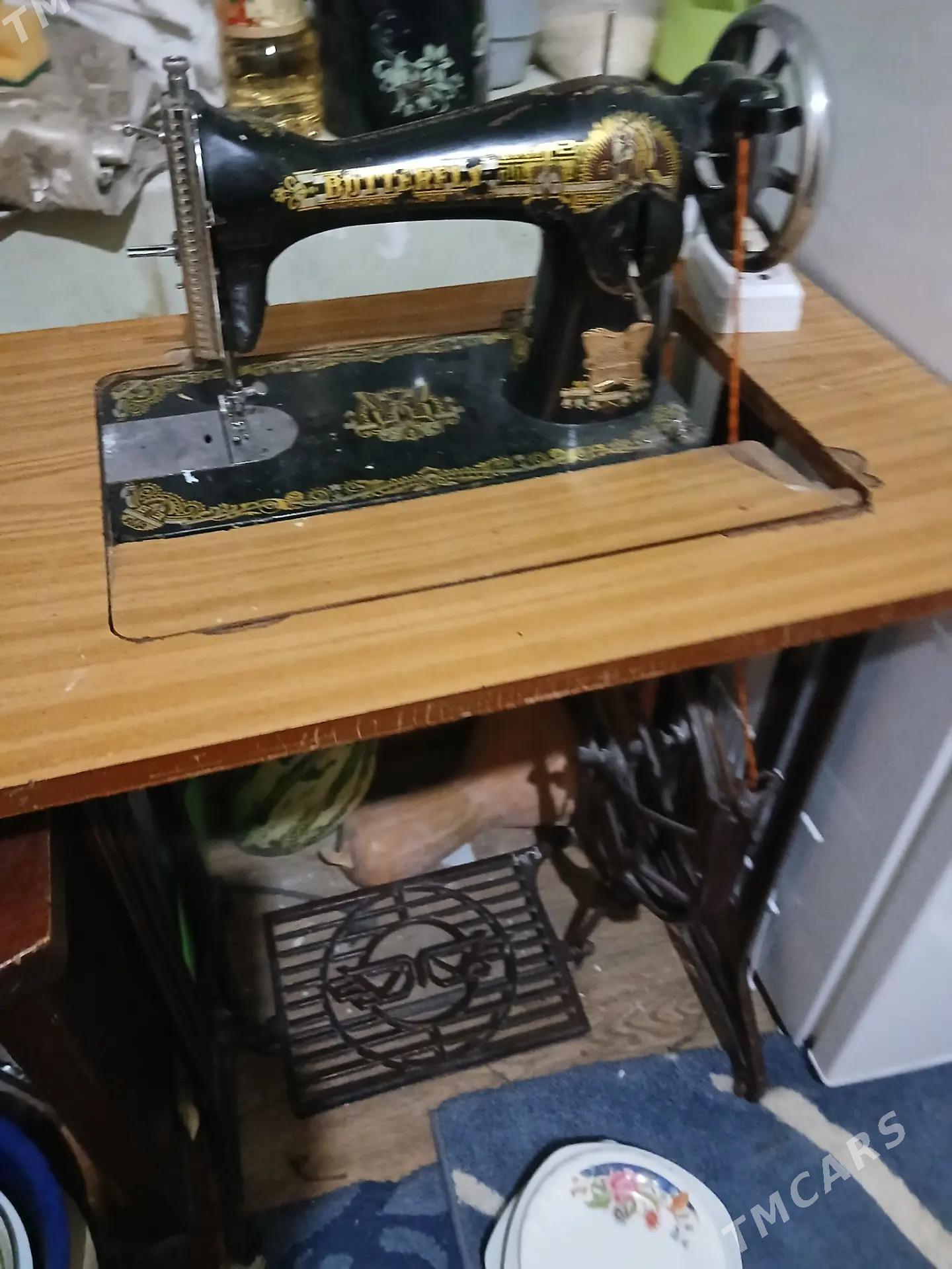 tikın masyn kone gadym kebelek - Hitrowka - img 2