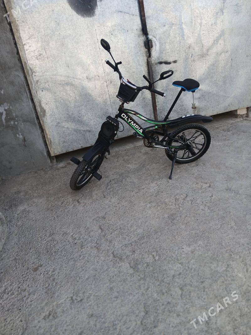 tigir - Багир - img 3