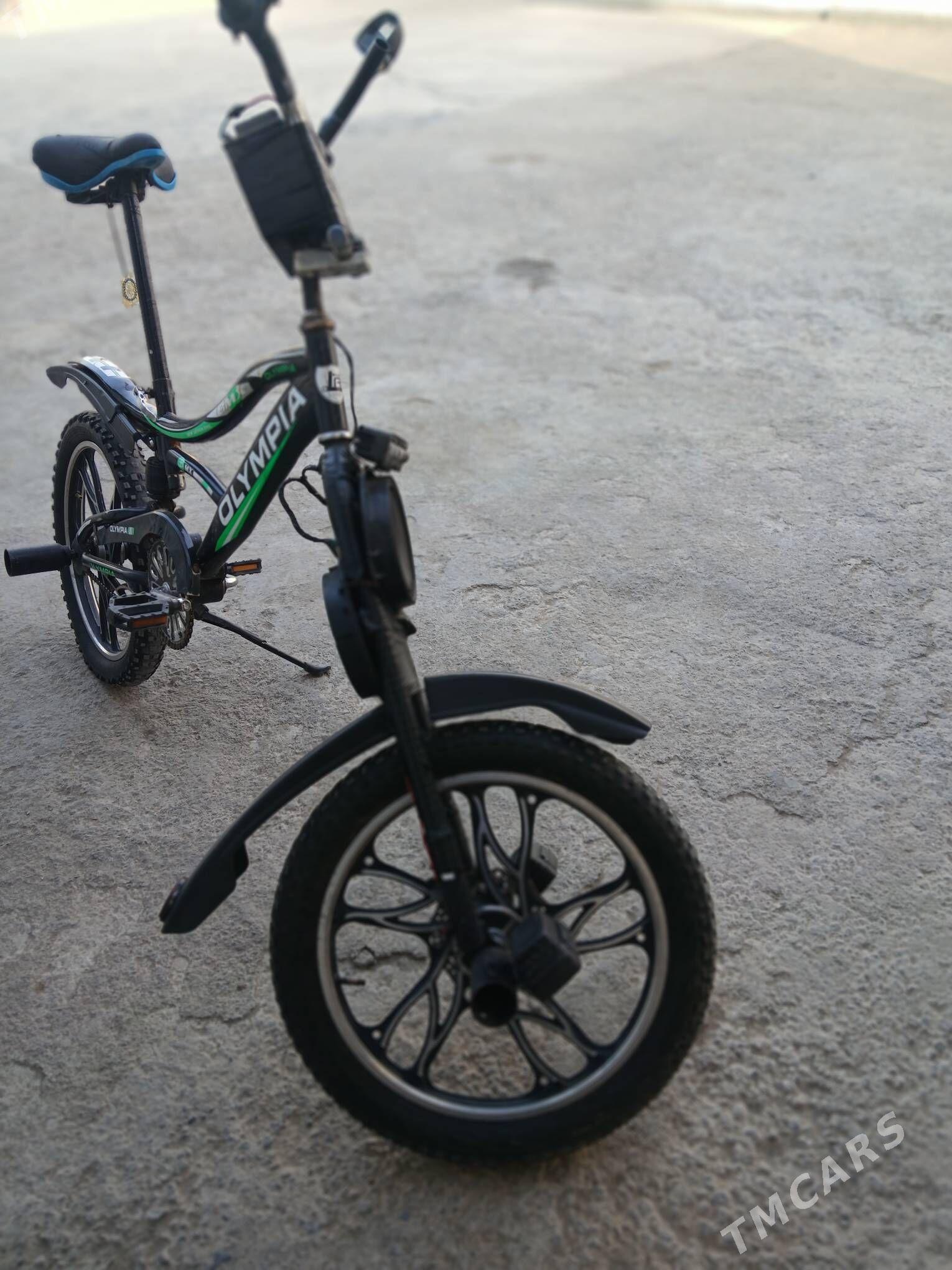 tigir - Багир - img 4