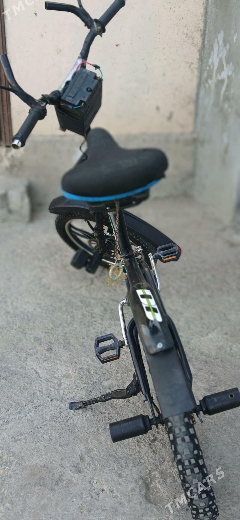 tigir - Багир - img 5