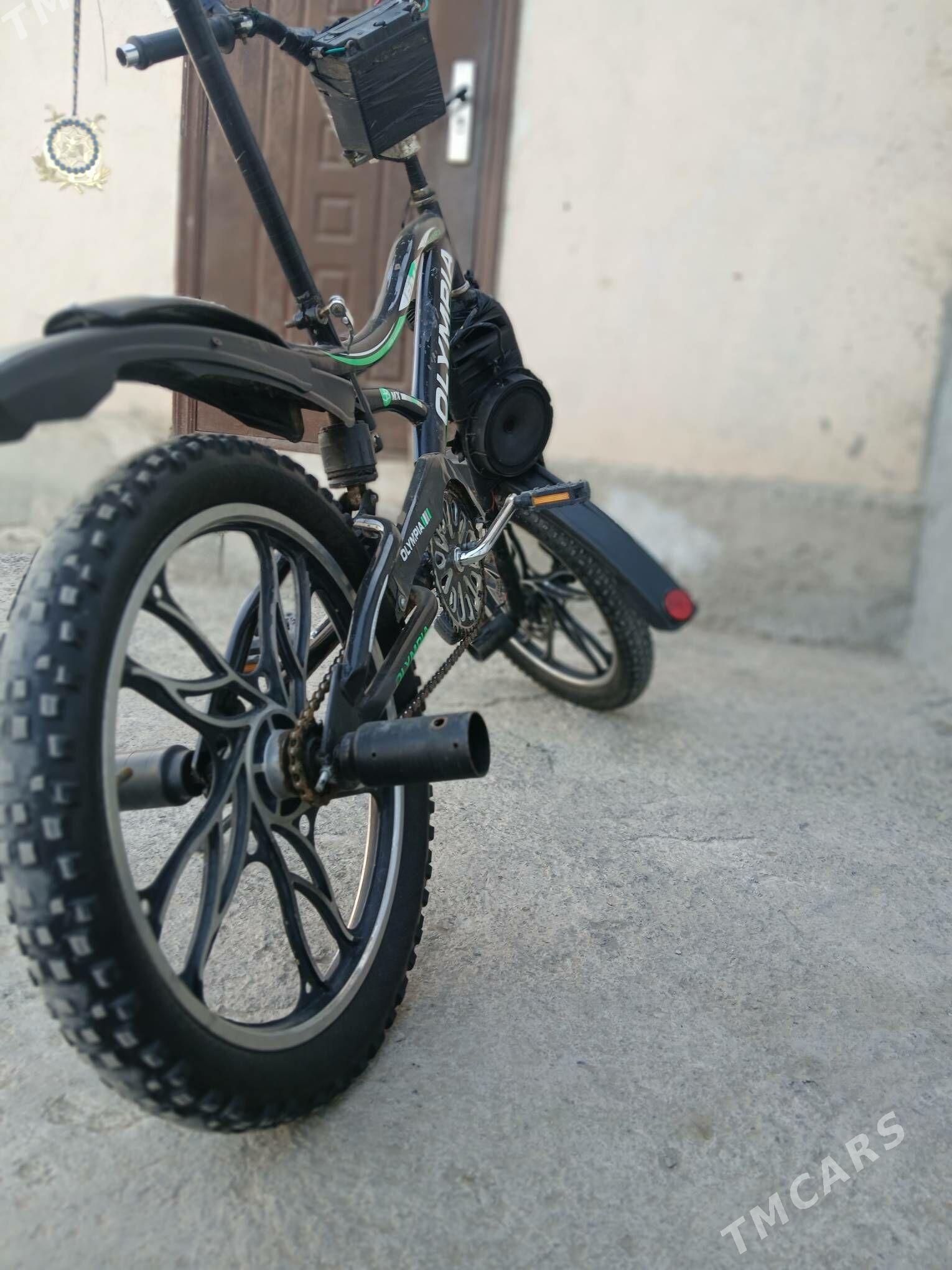 tigir - Багир - img 2