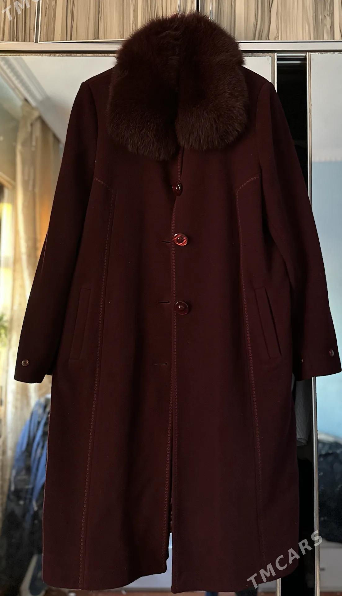 palto - Daşoguz - img 3