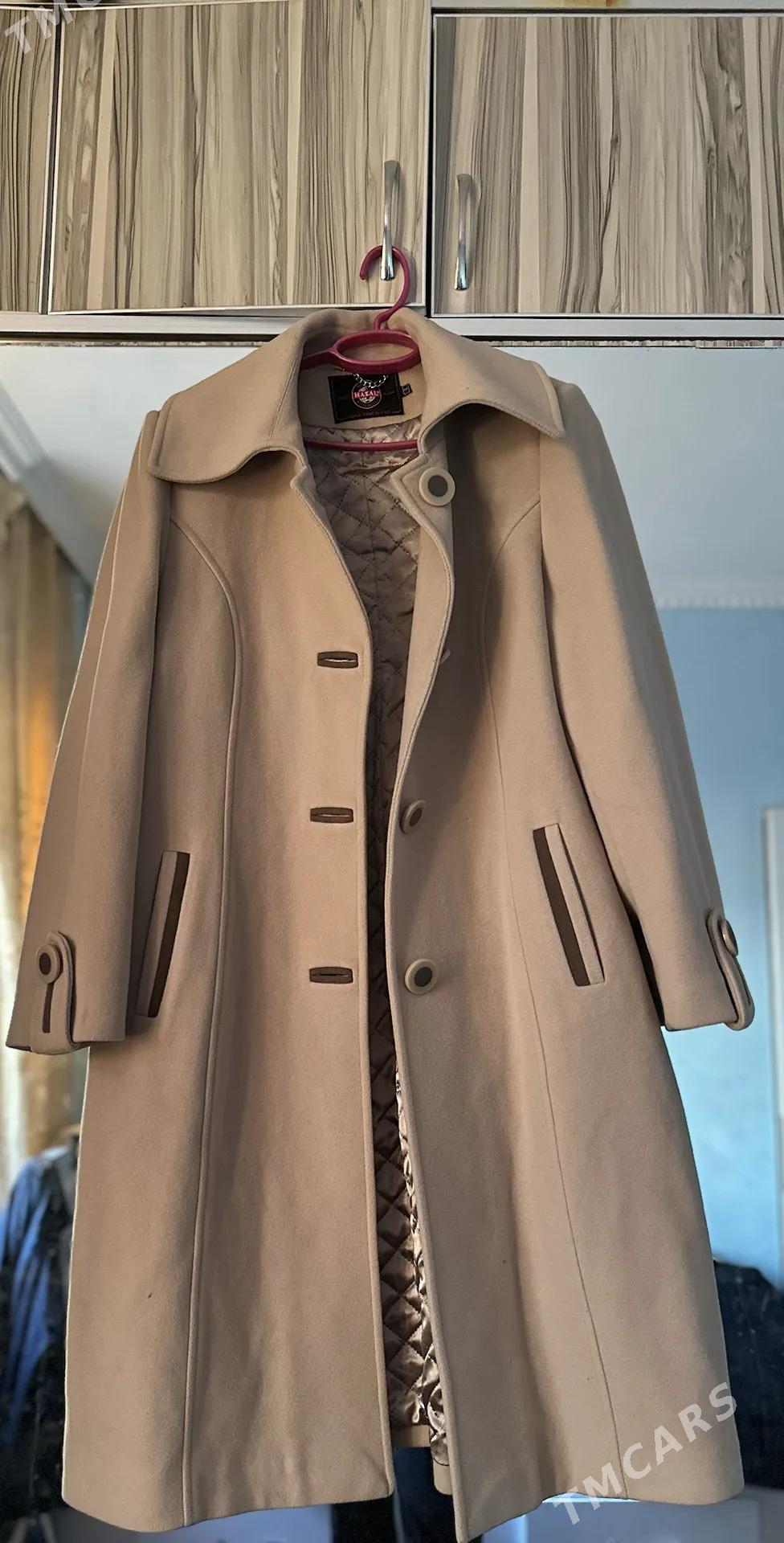 palto - Daşoguz - img 1