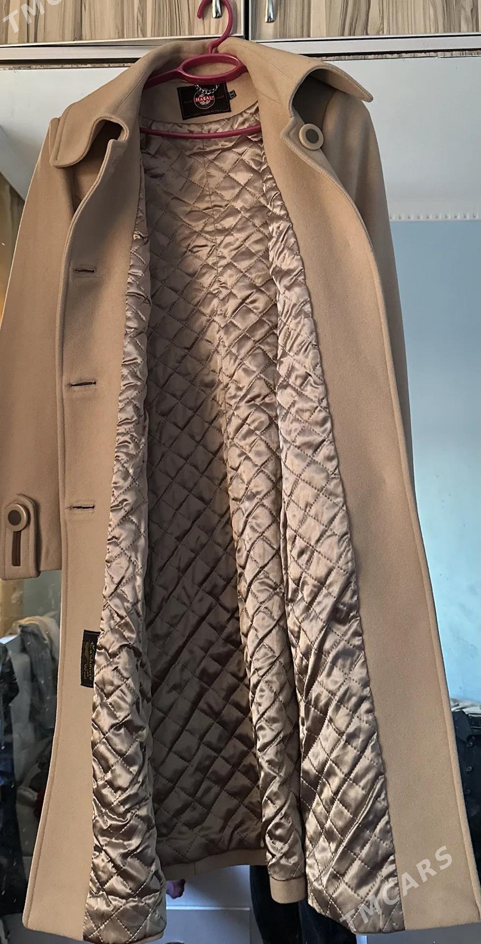 palto - Daşoguz - img 2