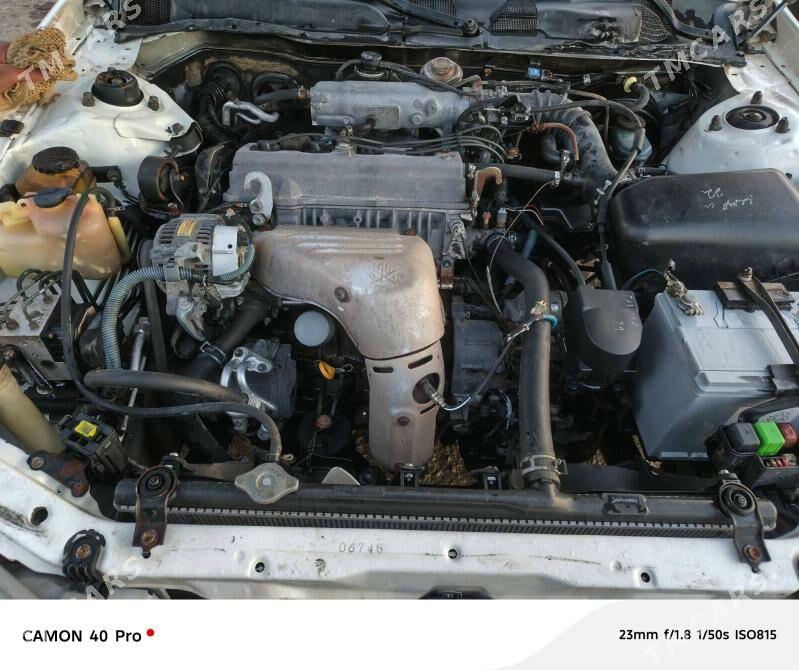 moyka - Дашогуз - img 7