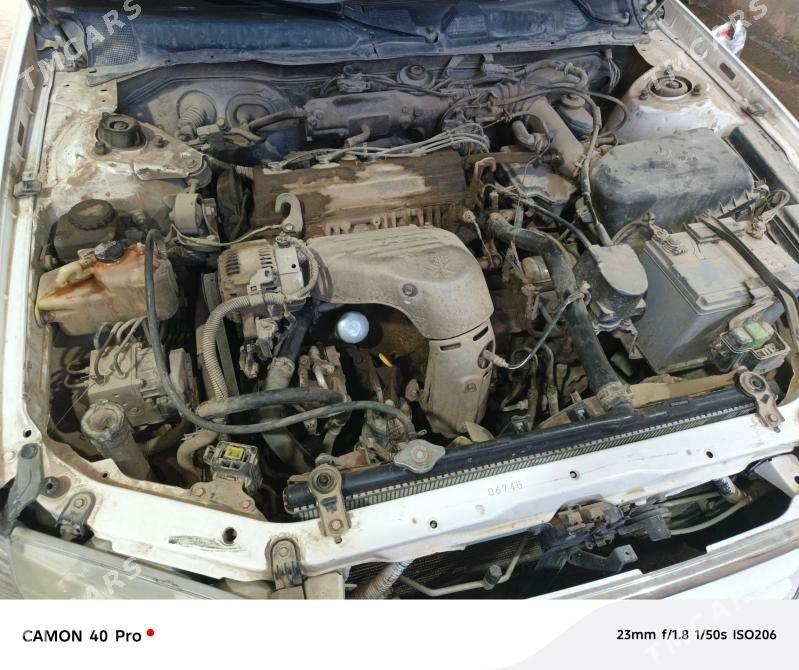 moyka - Дашогуз - img 6