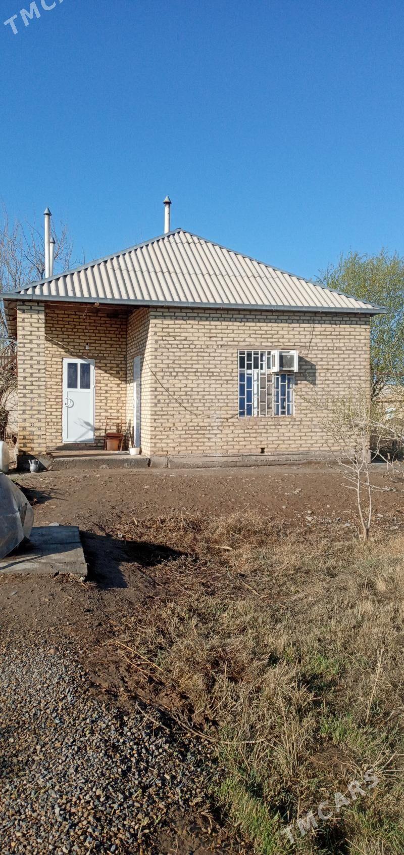 Jaý - Теджен - img 2