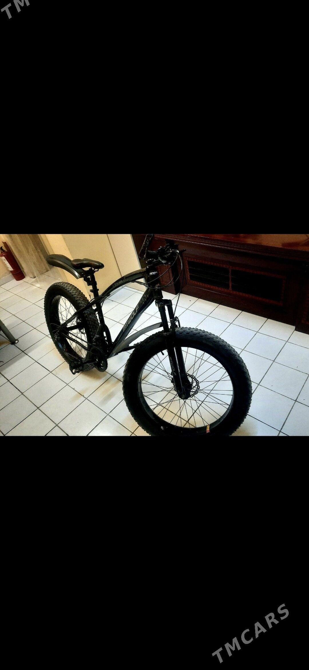 TOKGA TEKER TIGIR️ - Gökdepe - img 2