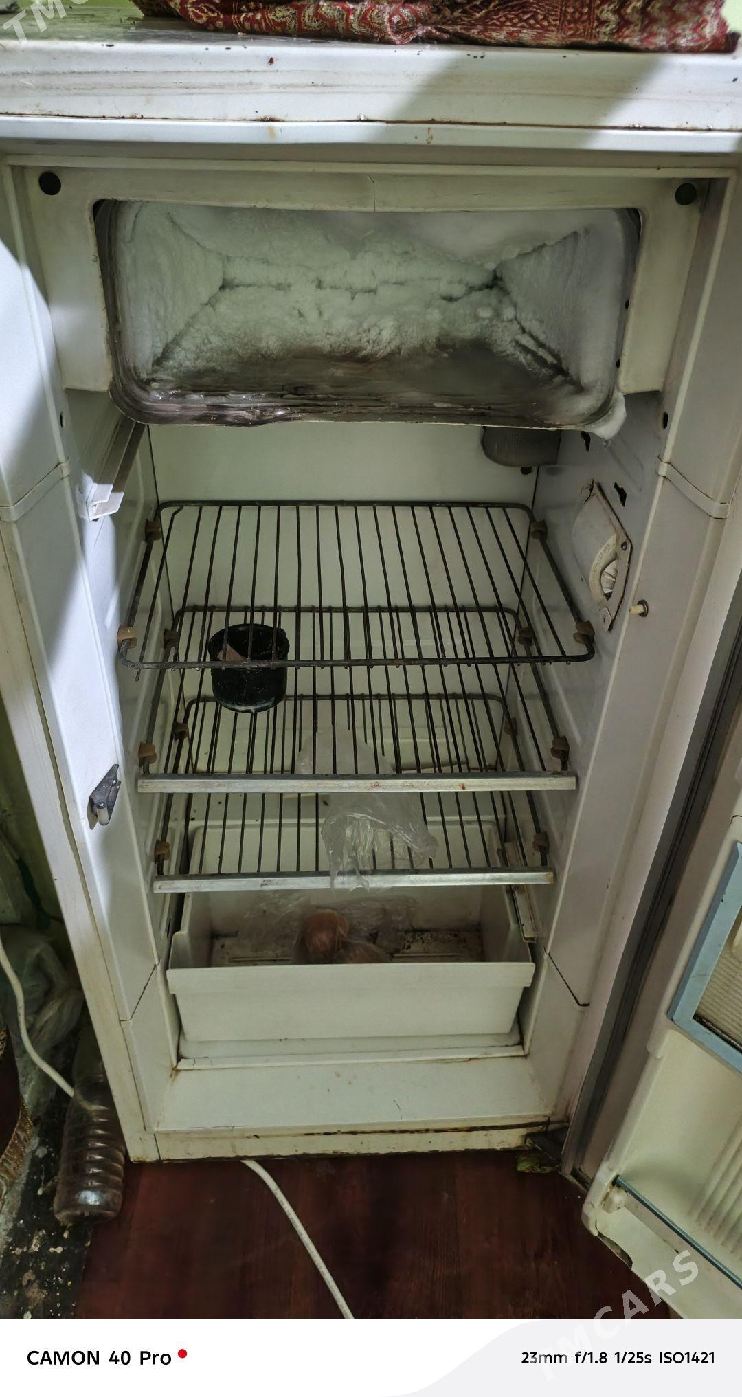 halandinik - Aşgabat - img 2