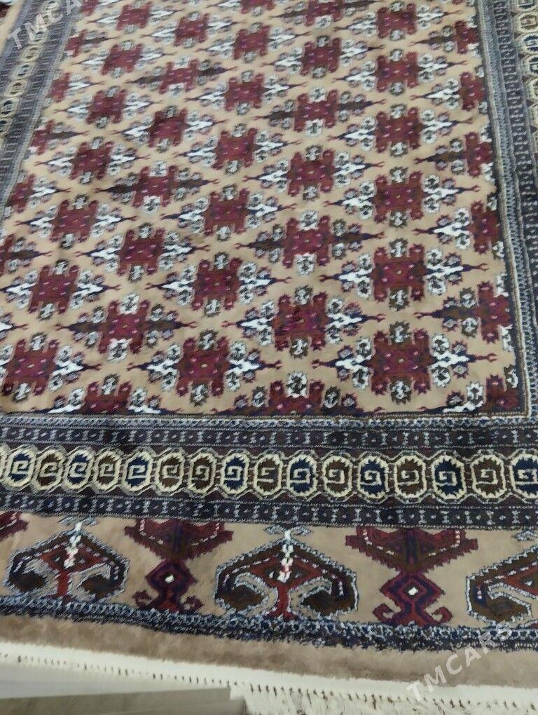 Haly 5*2 - Aşgabat - img 2