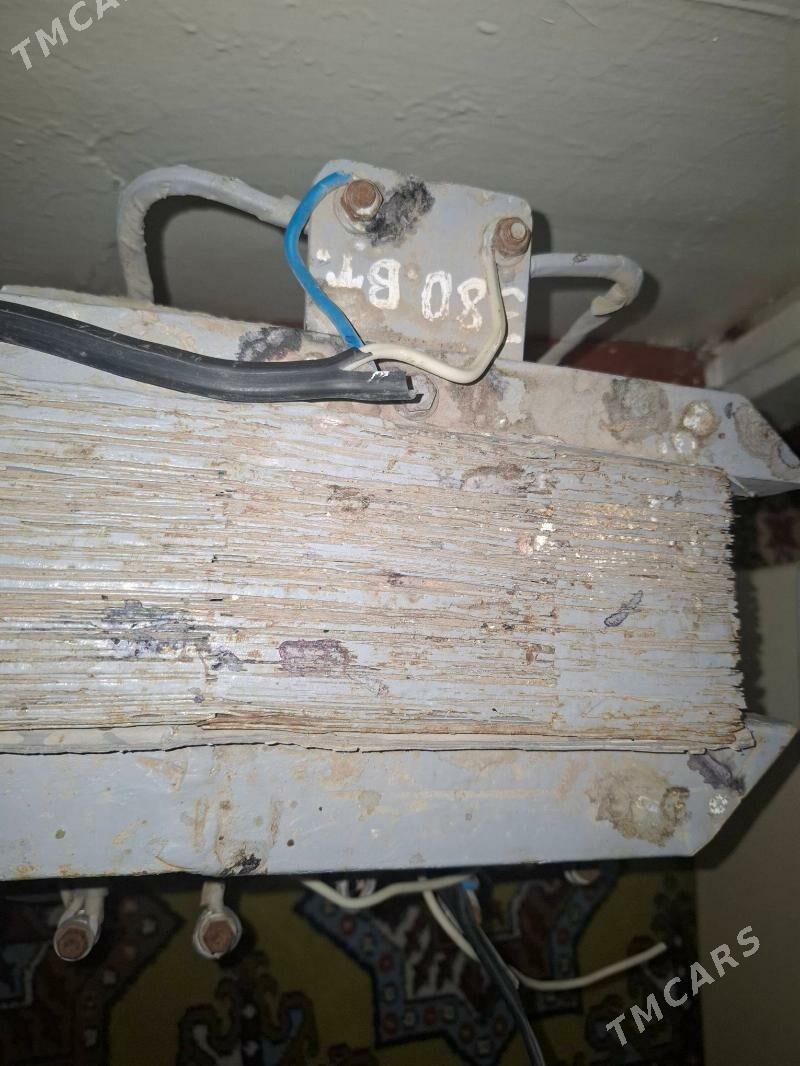 Tok kopeldyan - Ашхабад - img 3