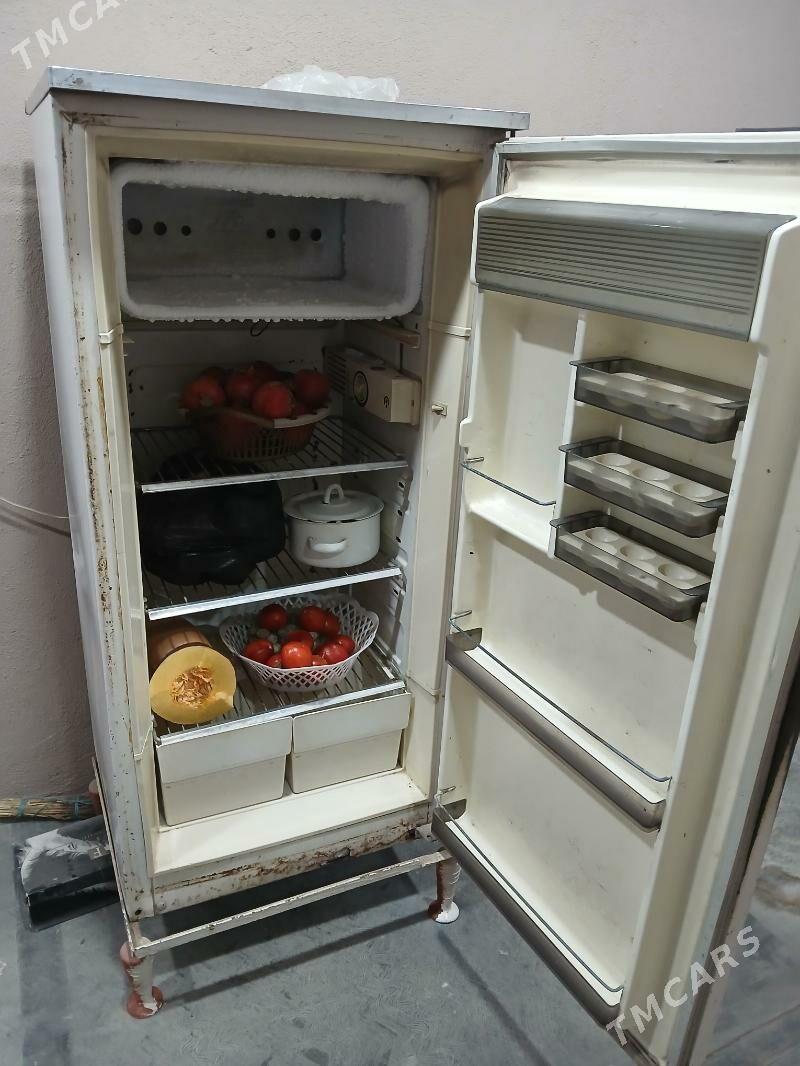 Holodilnik - Шатлык - img 1