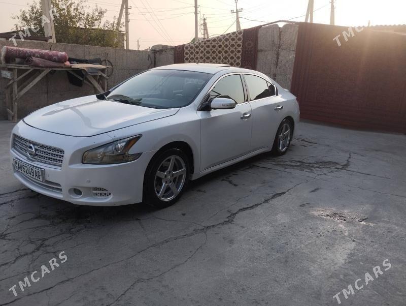 Nissan Maxima 2010 - 150 000 TMT - Büzmeýin - img 3