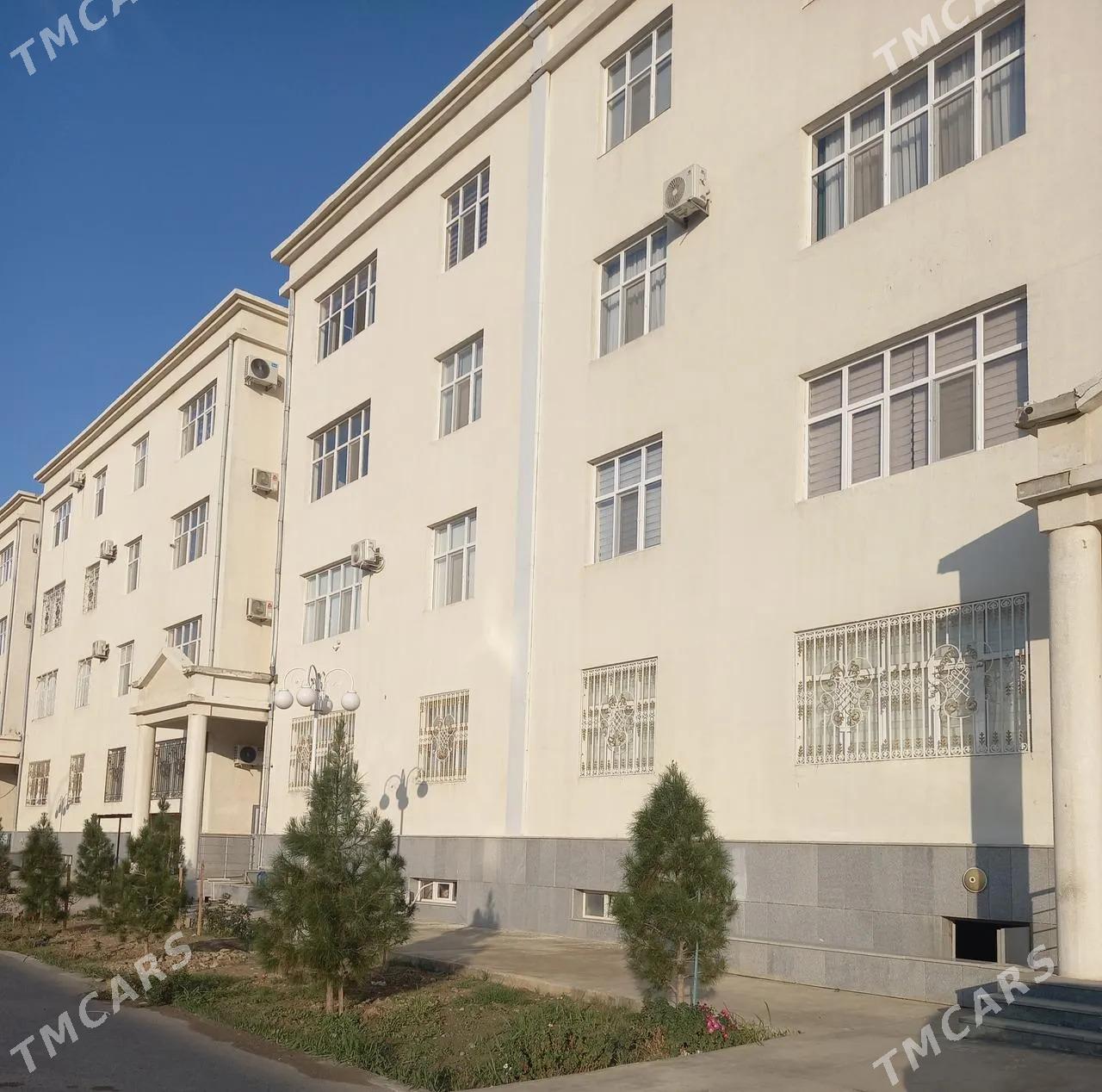 Satlyk Pol Elitga Anew 4 komnt - Änew - img 5