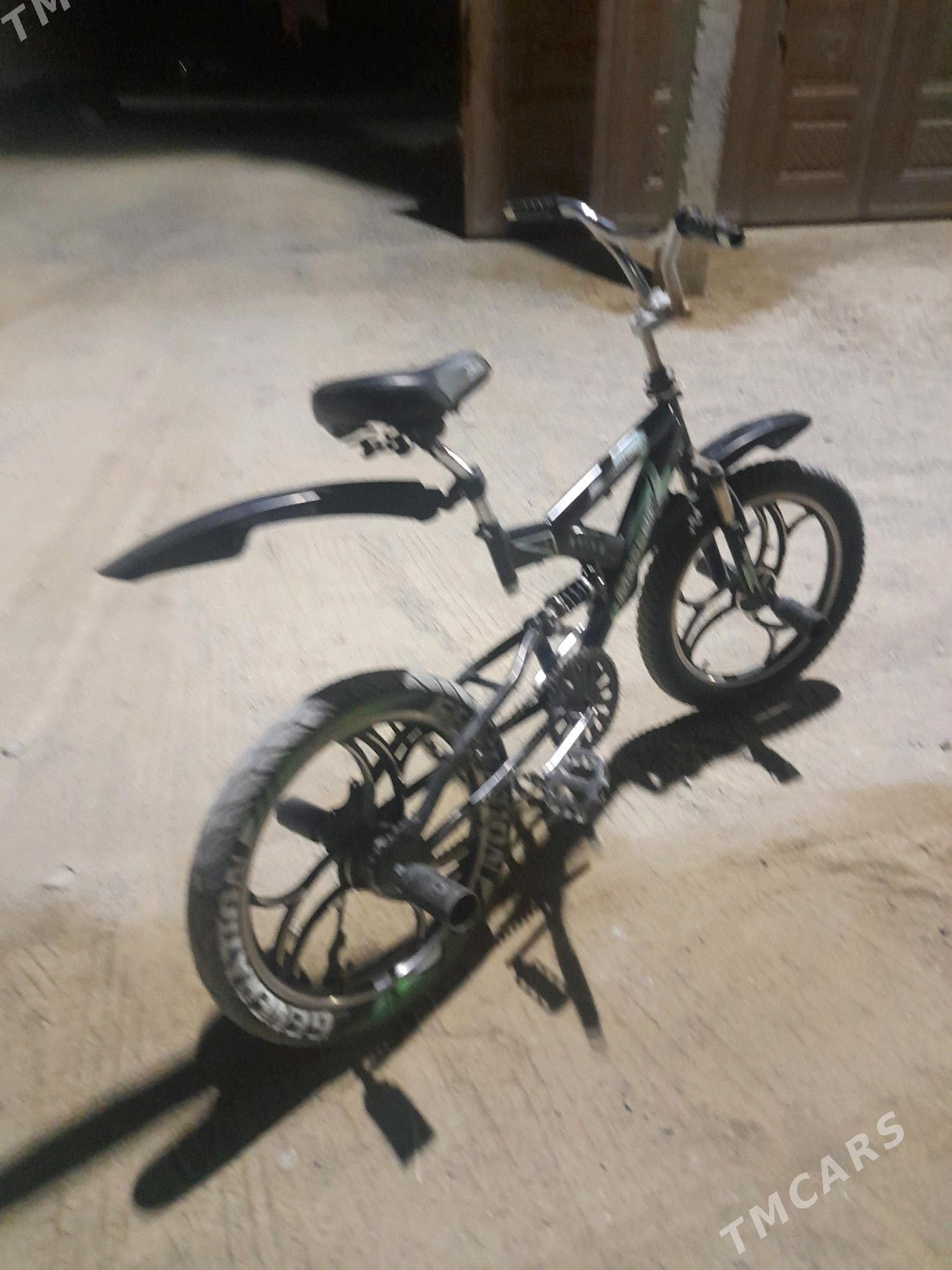 tigir duga - Bäherden - img 6