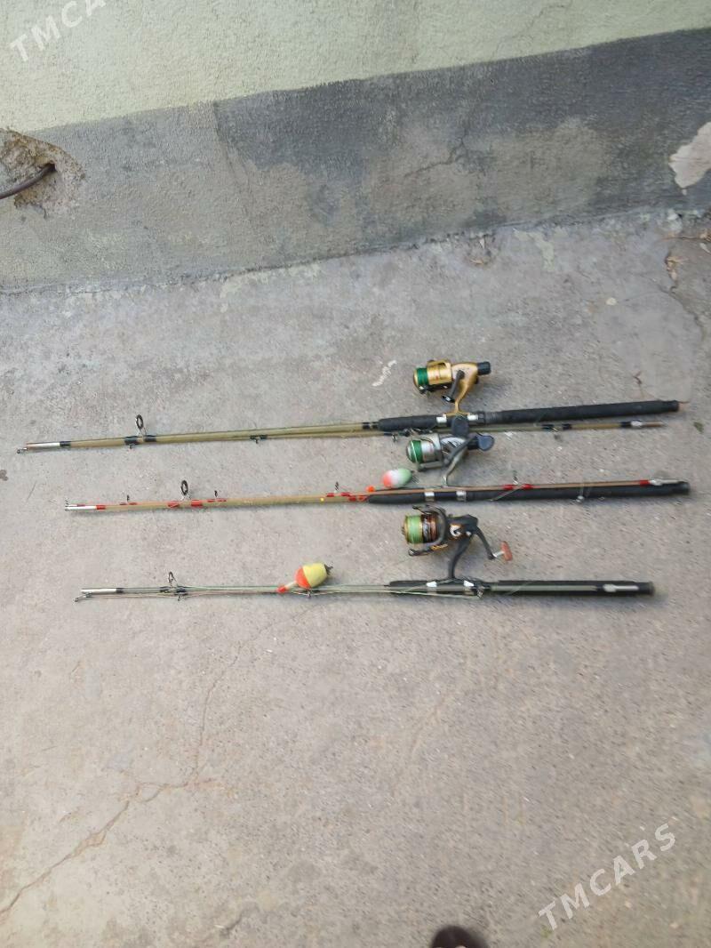 удочкалар - Хитровка - img 2