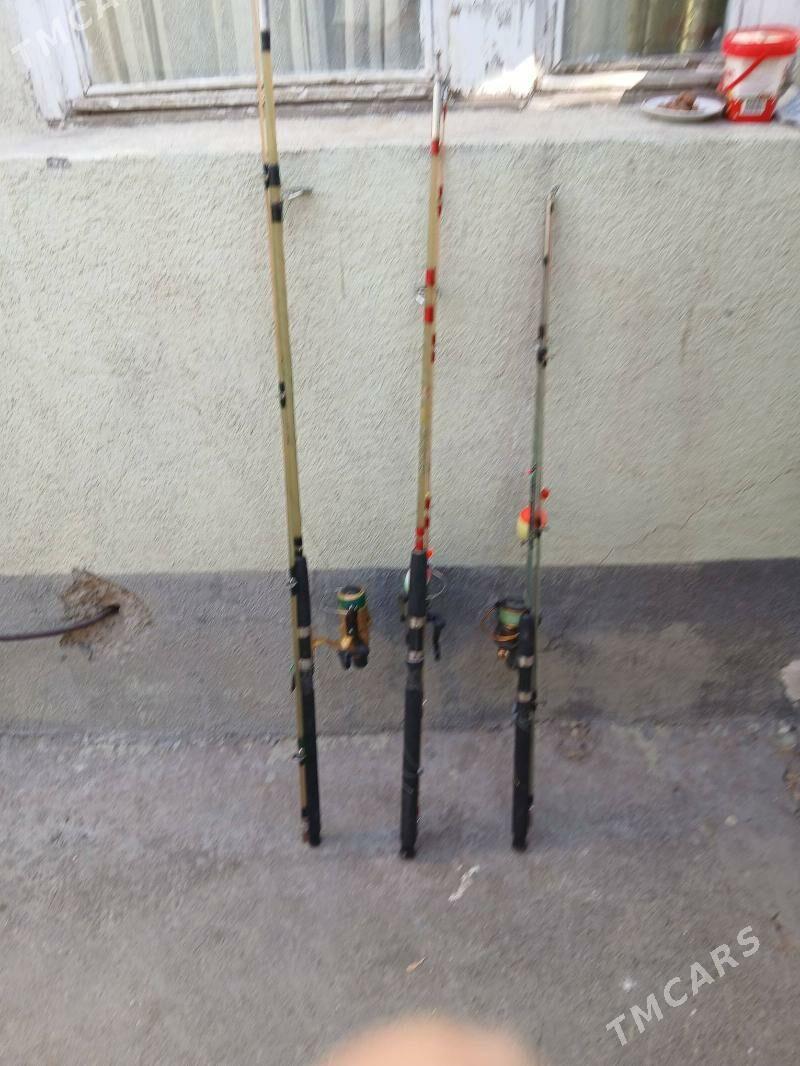 удочкалар - Хитровка - img 3