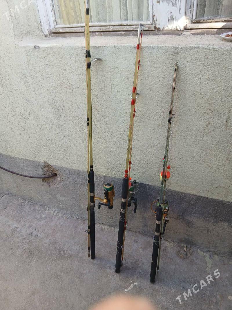 удочкалар - Хитровка - img 1