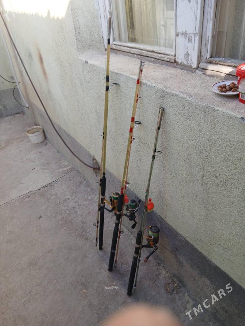 удочкалар - Хитровка - img 4