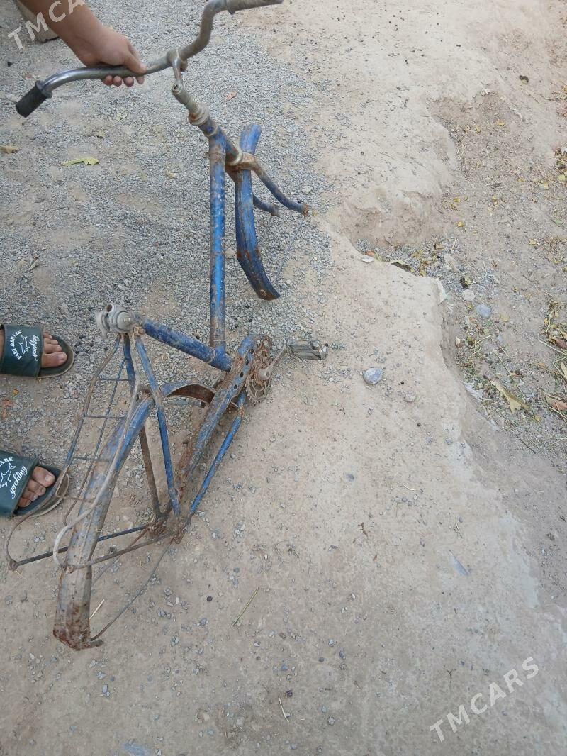 tigir rama - Büzmeýin - img 1