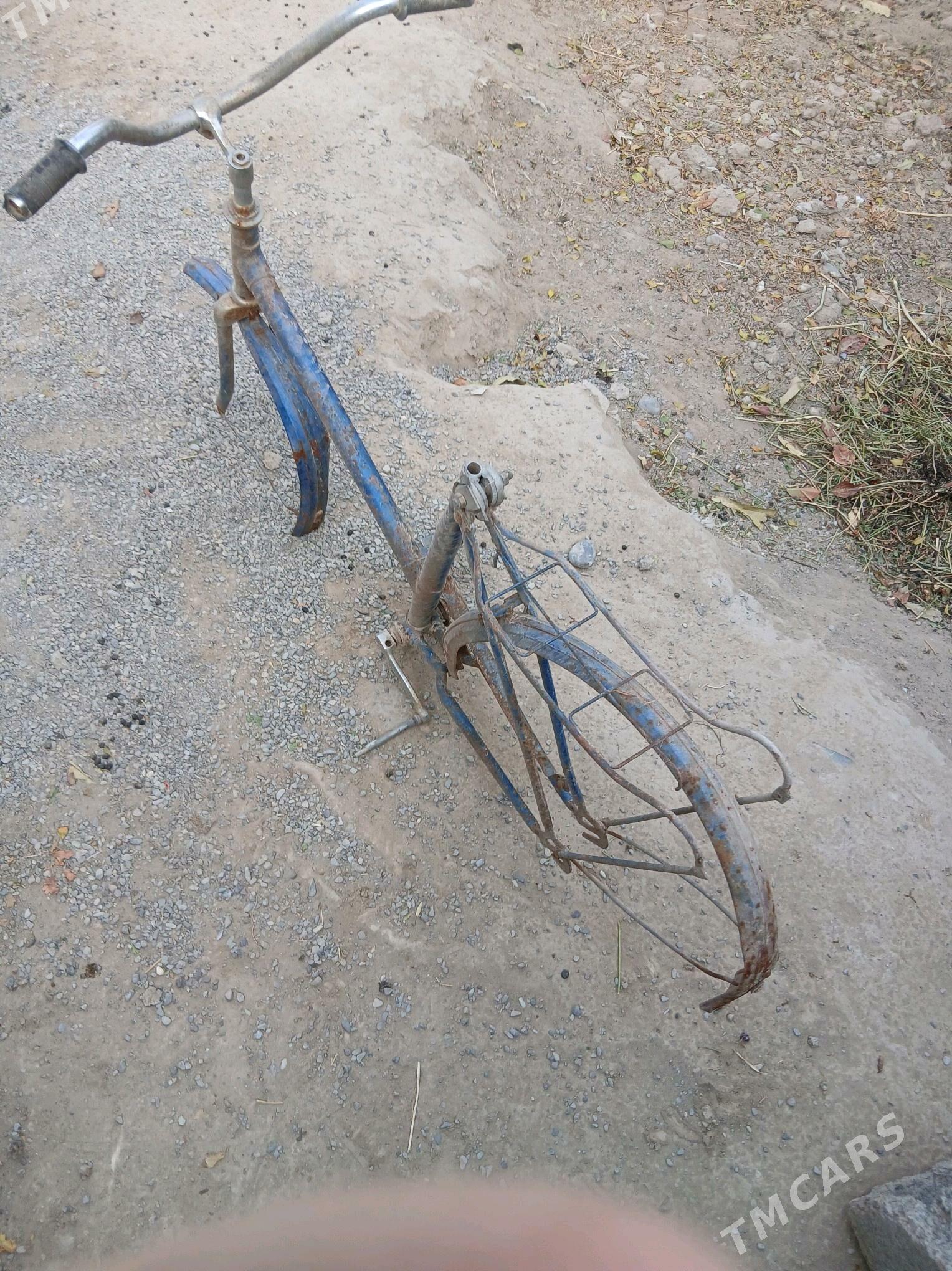 tigir rama - Büzmeýin - img 2