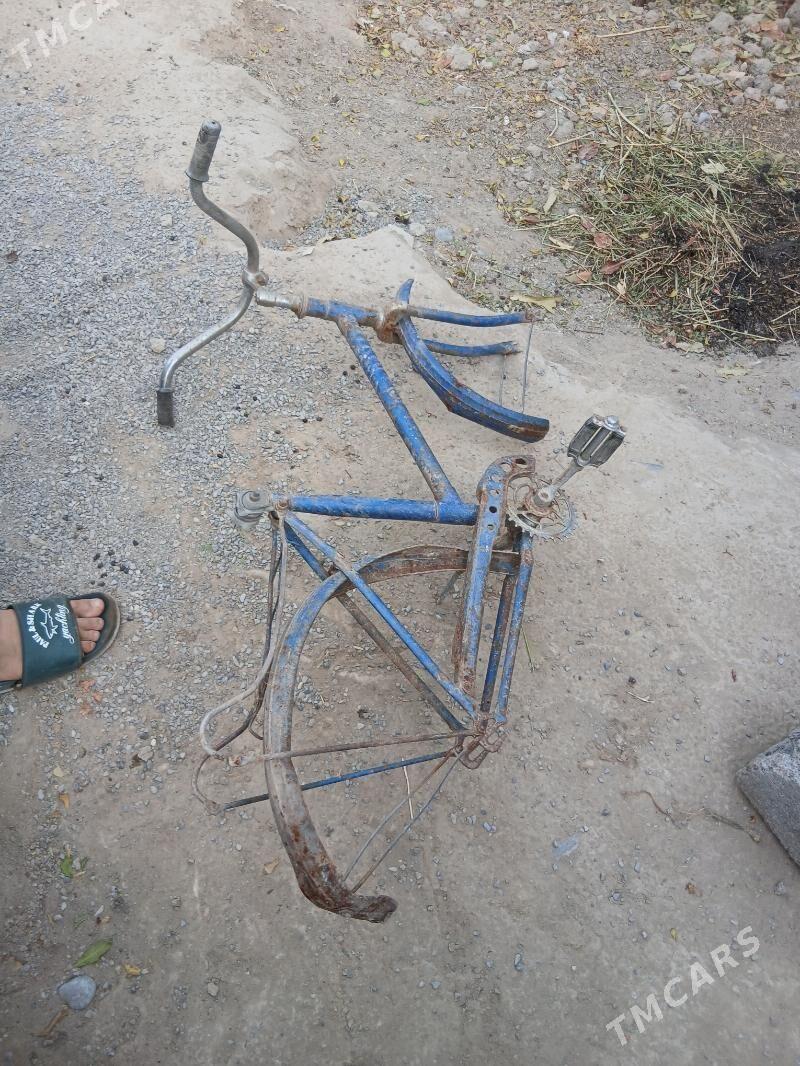 tigir rama - Büzmeýin - img 3