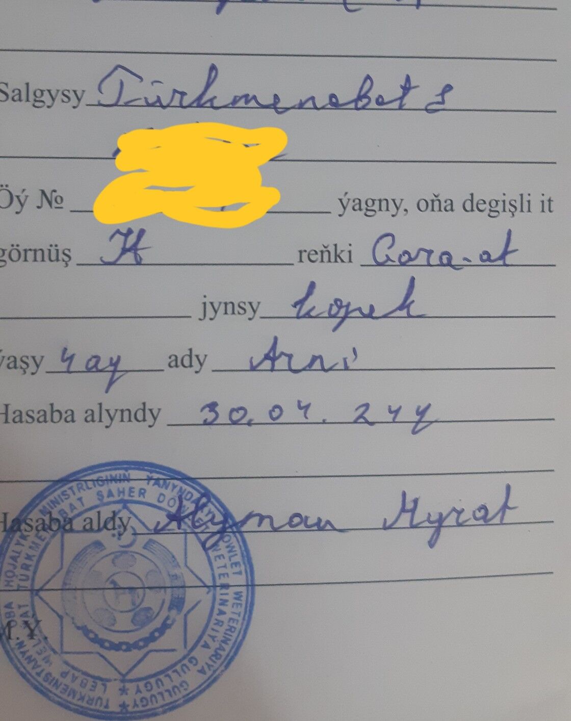 Арни молодой кабель - Туркменабат - img 5