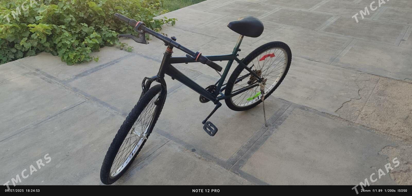 welisoped 26-lyk - Mary - img 2