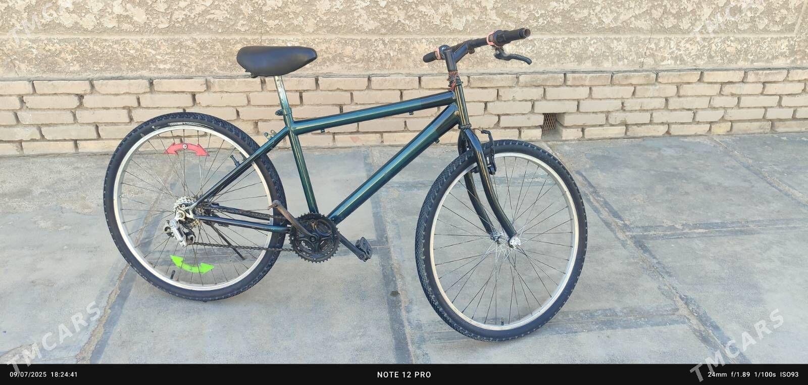 welisoped 26-lyk - Mary - img 1