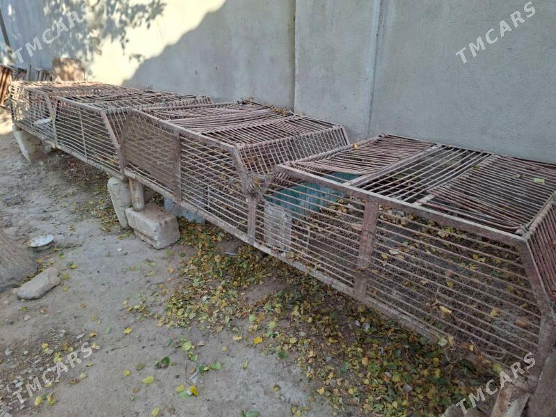 tavsham yatak - Балканабат - img 2