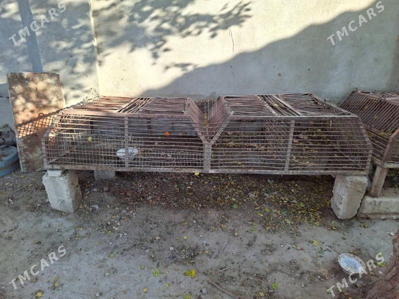 tavsham yatak - Balkanabat - img 1