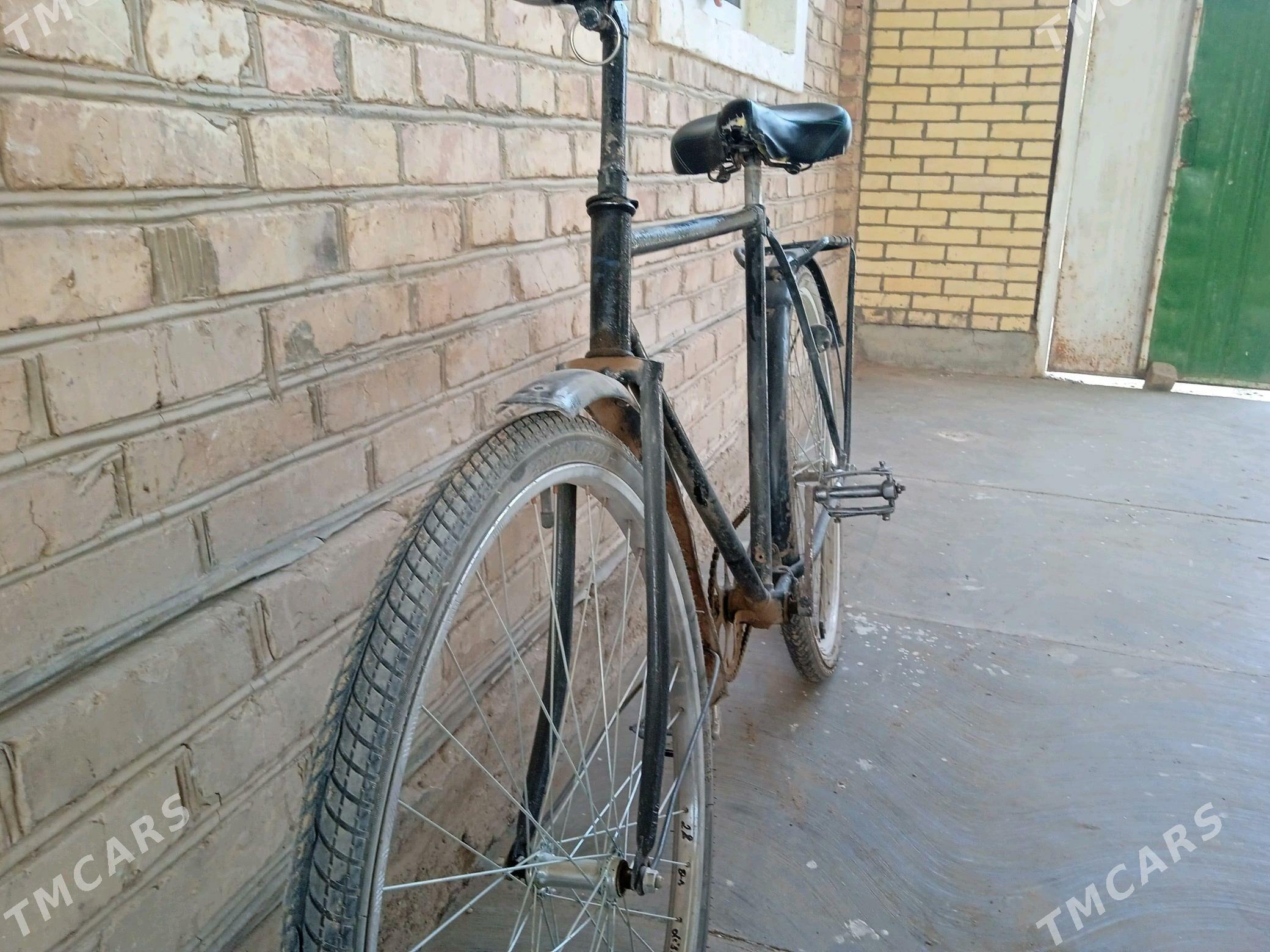 welsepit - Сакарчага - img 1