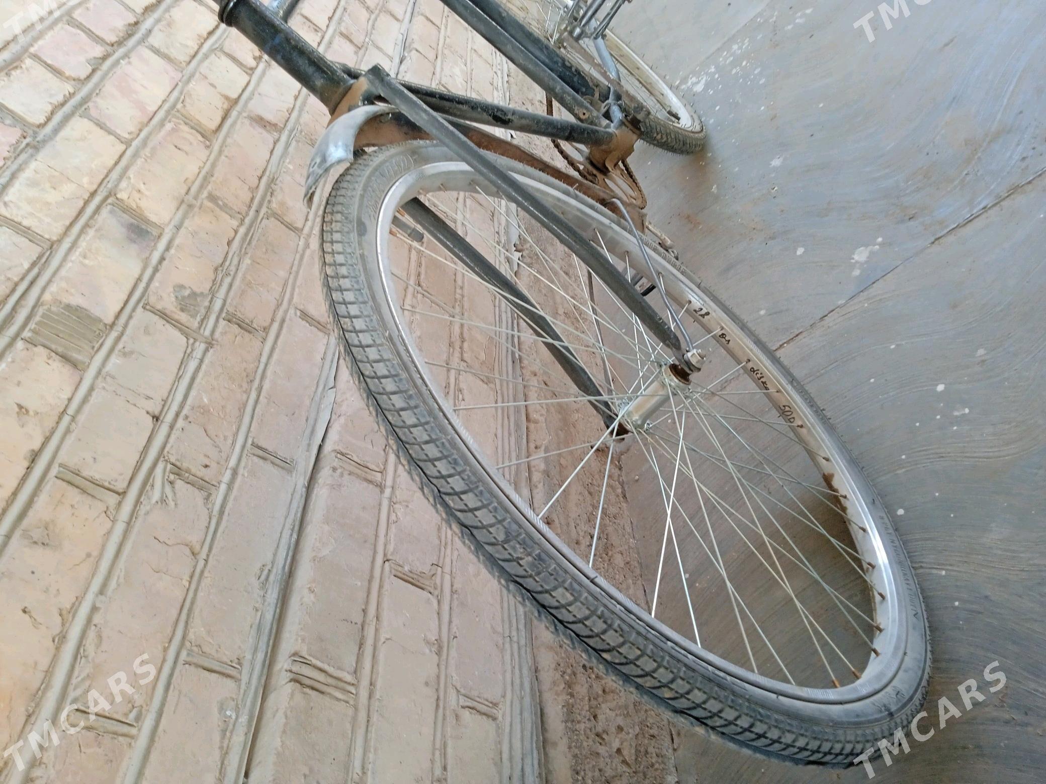 welsepit - Сакарчага - img 2