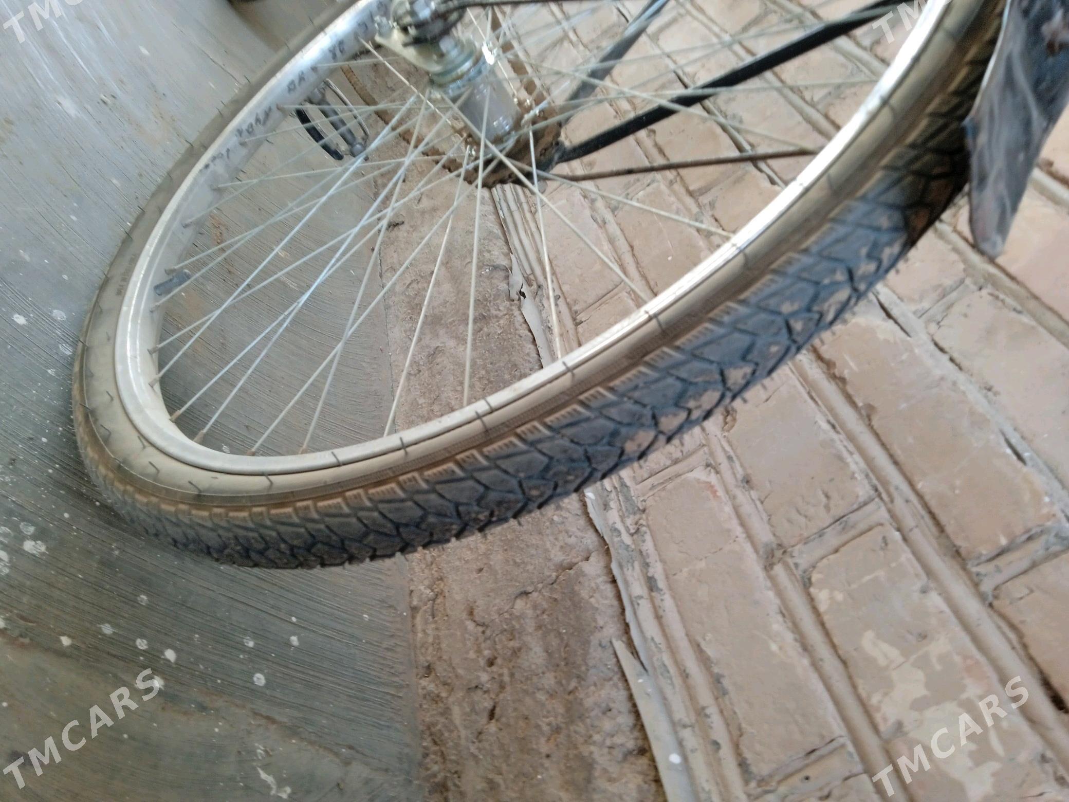 welsepit - Сакарчага - img 3