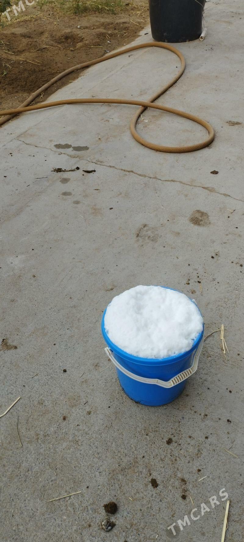 Göleli sygyr - Aşgabat - img 2