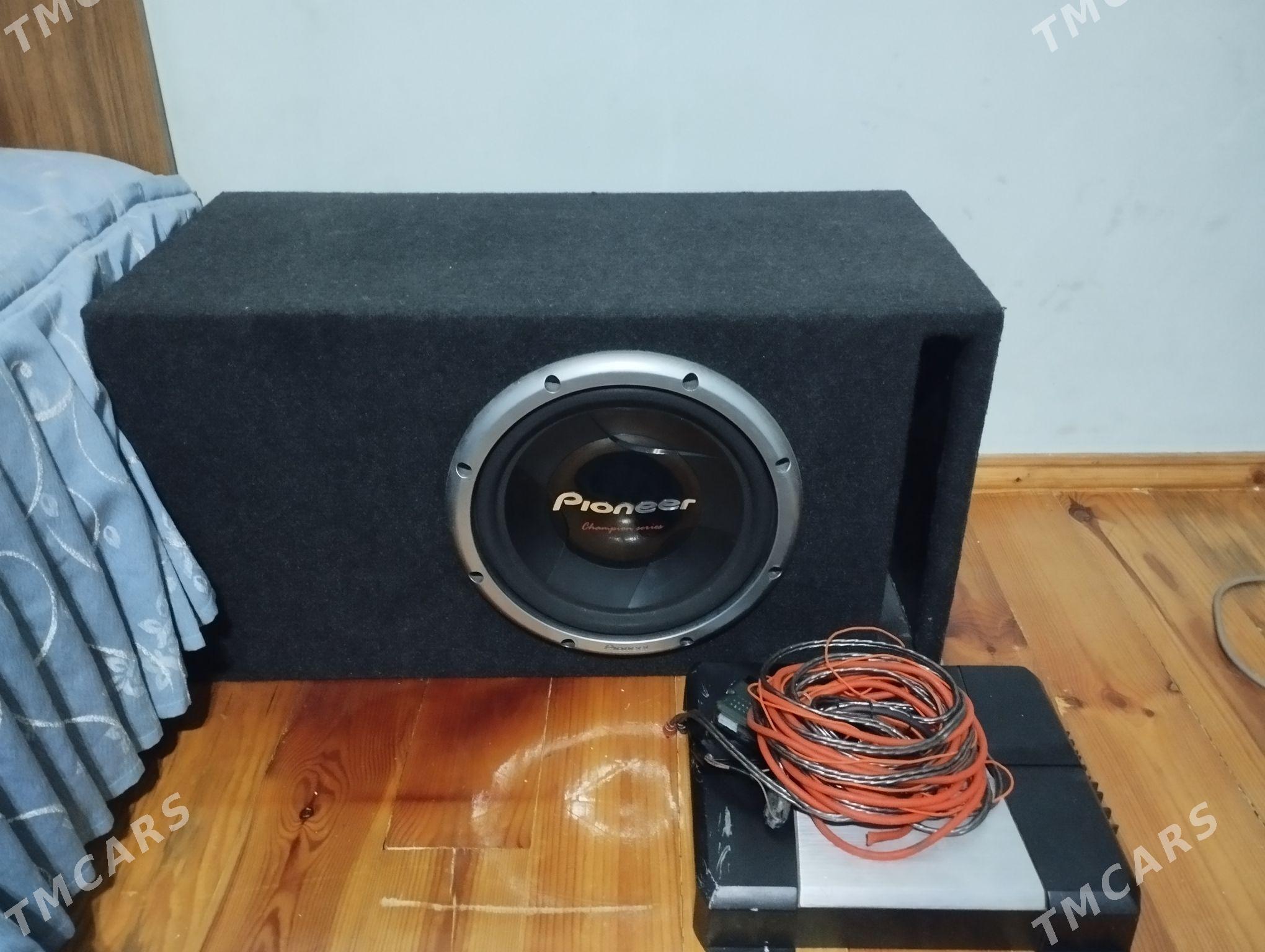 Pioneer sambufer - Büzmeýin - img 1