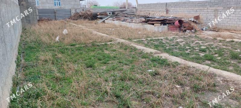 Arenda Bokus - Гёкдепе - img 5
