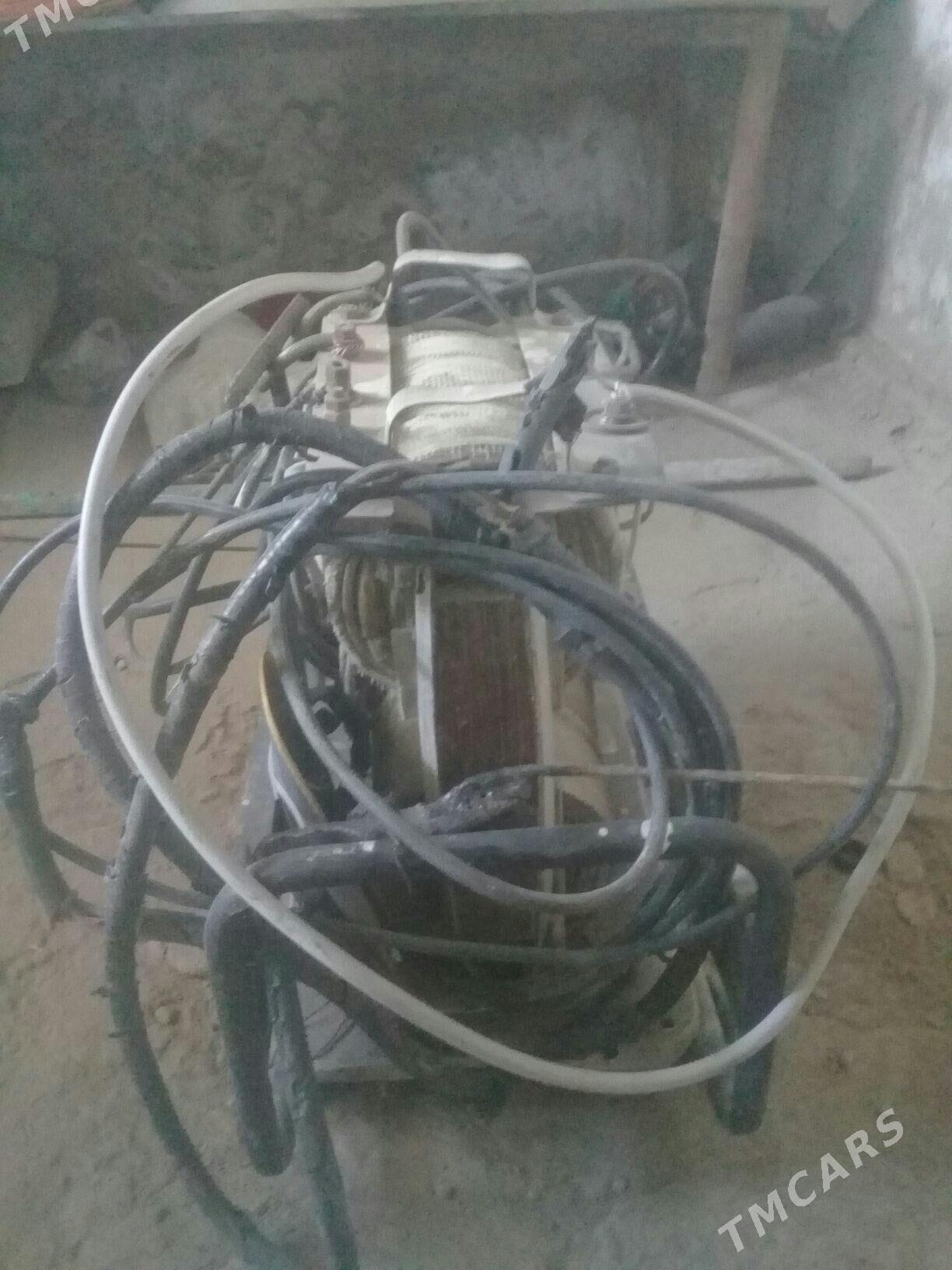 Sywarka - Tejen - img 2