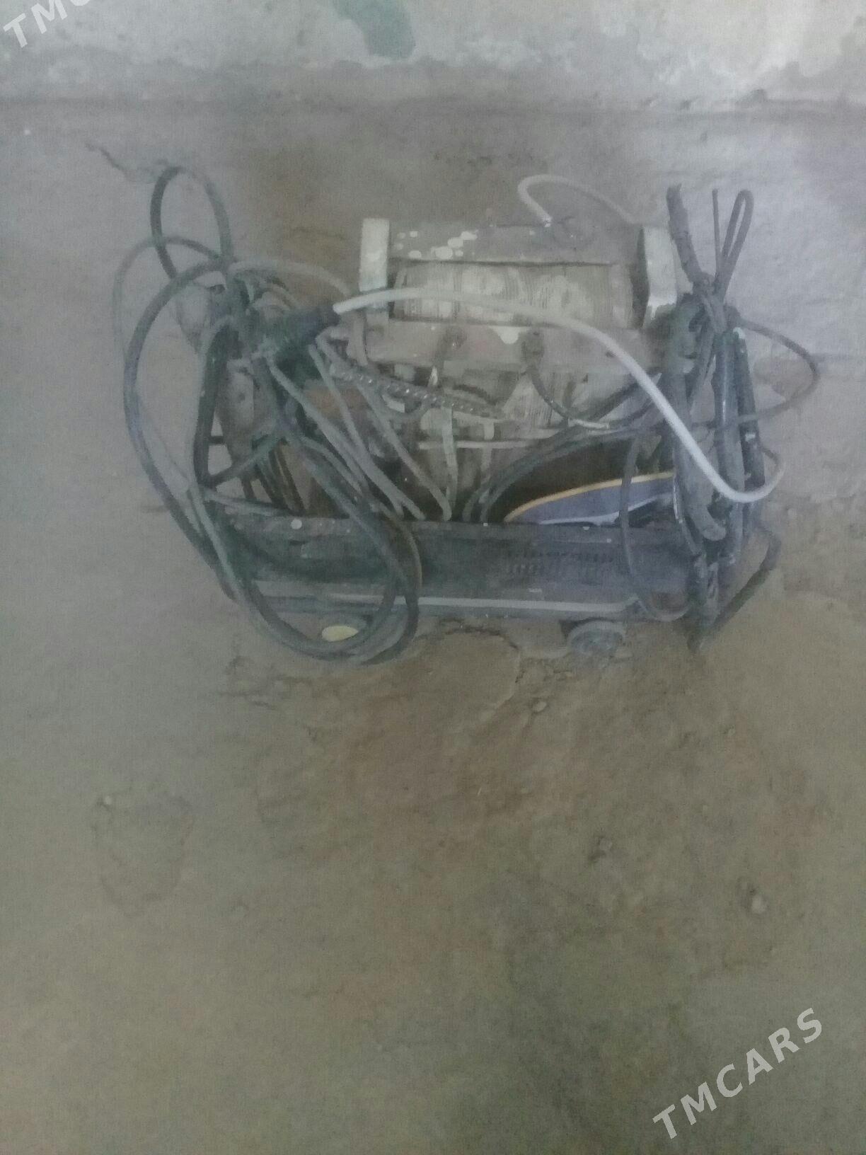 Sywarka - Tejen - img 4