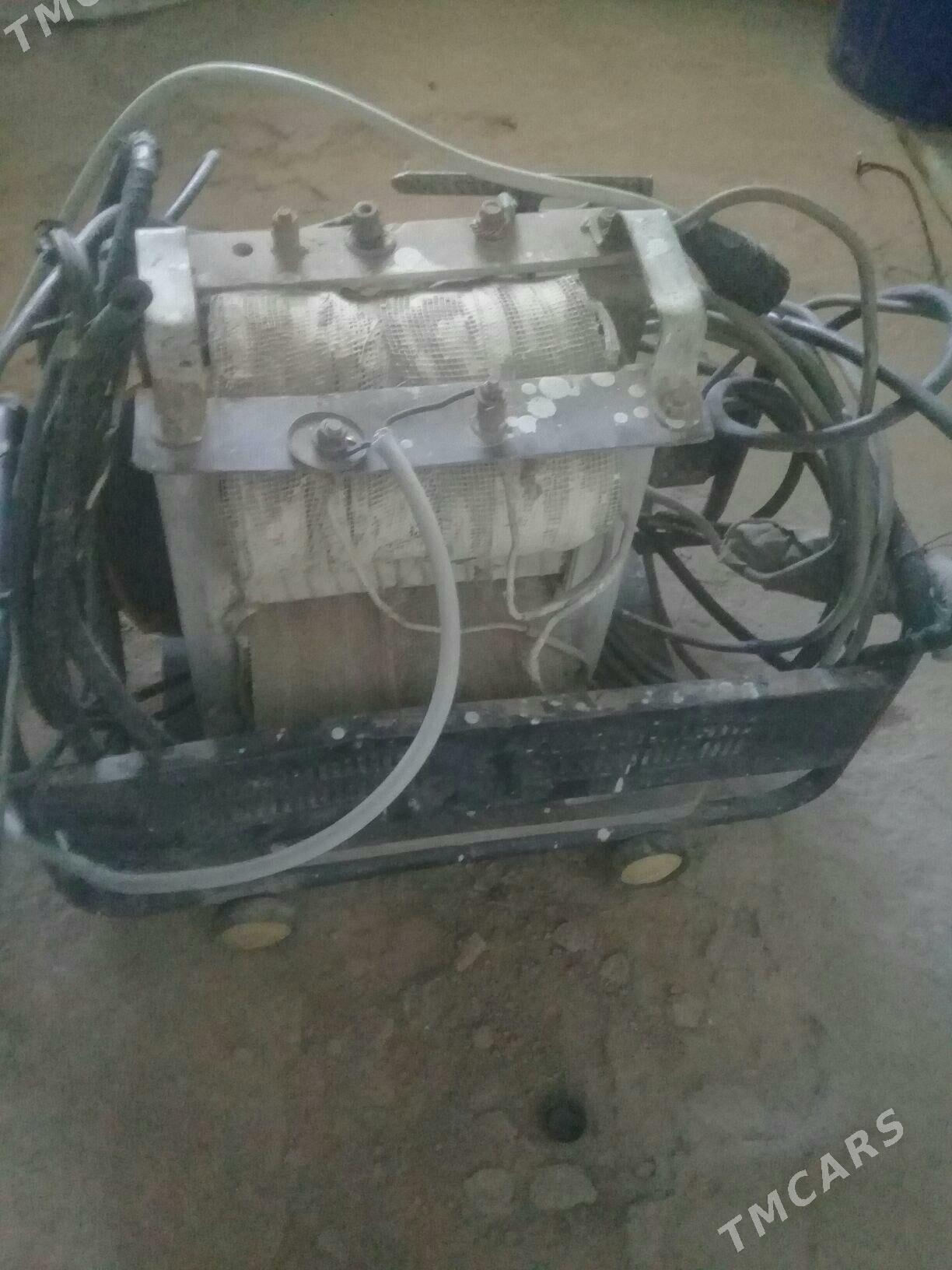 Sywarka - Tejen - img 3