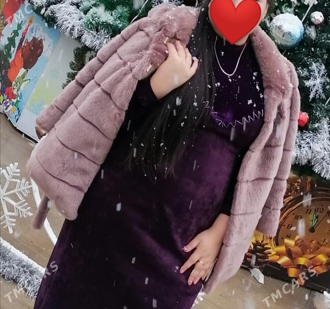 Shuba - Балканабат - img 2